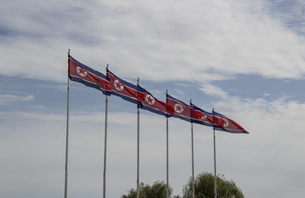 Figure.1. North Korean flags on poles, Micha Brändli, Unsplash. 